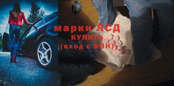 крисы Алзамай