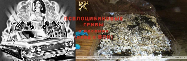 эйфоретик Алексин