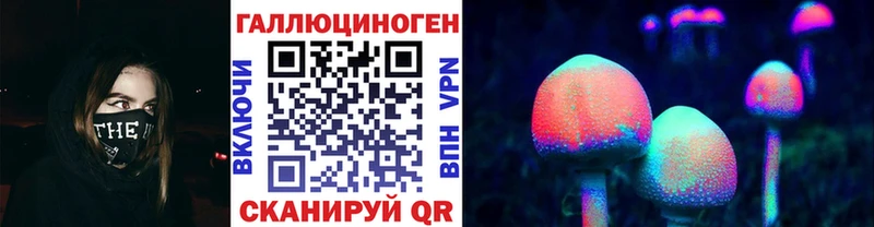 Псилоцибиновые грибы Psilocybe  Димитровград 
